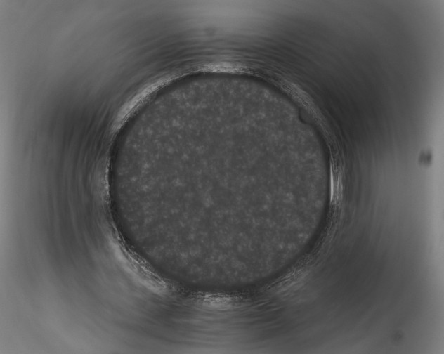 X0000114520531200911301118