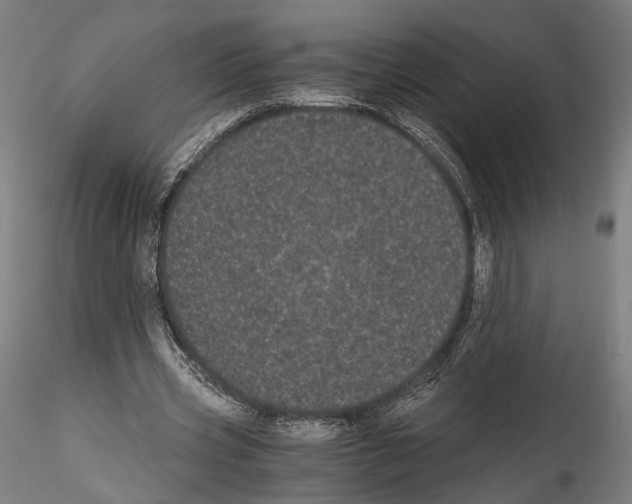 X0000114520533200911301119