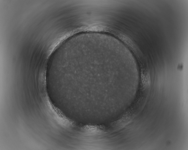 X0000114520534200911301119