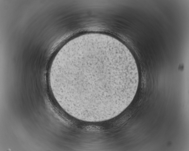 X0000114520535200911301119