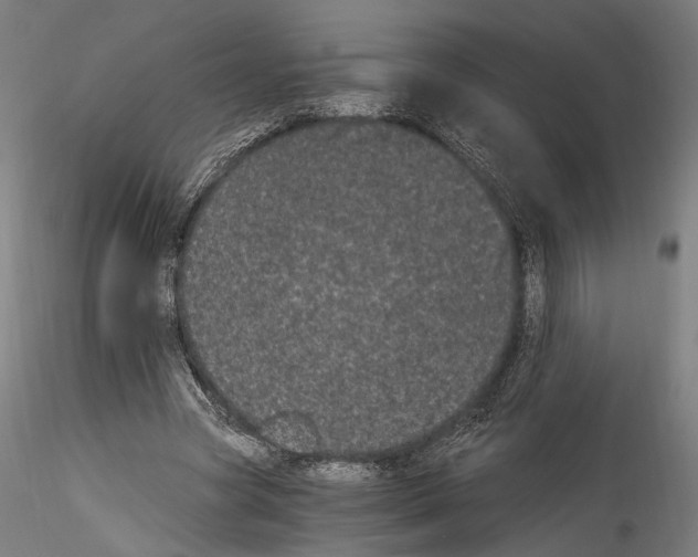 X0000114520537200911301119