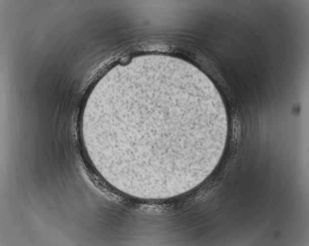 X0000114520538200911301119