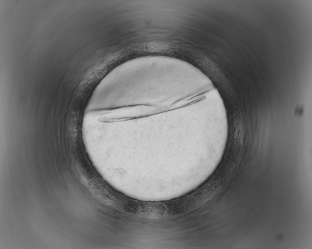 X0000114520542200911301119