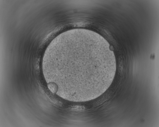 X0000114520543200911301119