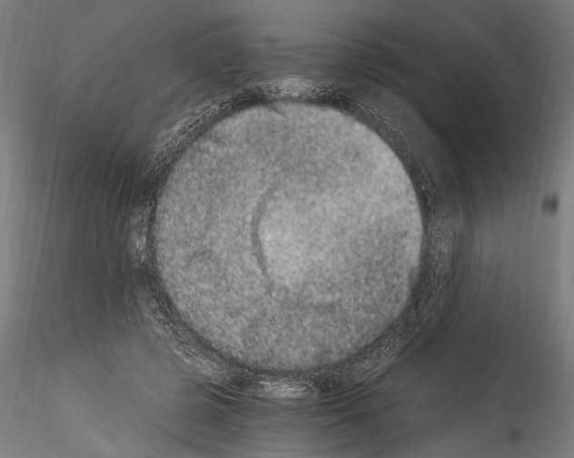 X0000114520545200911301119