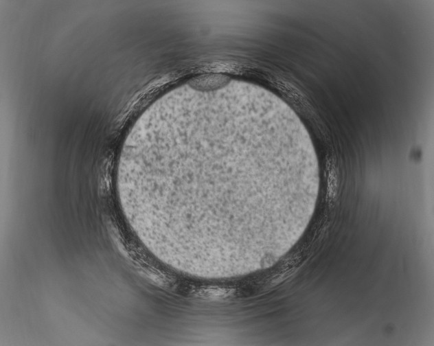 X0000114520546200911301119