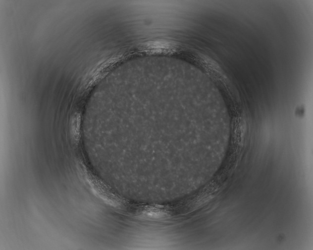 X0000114520550200911301119