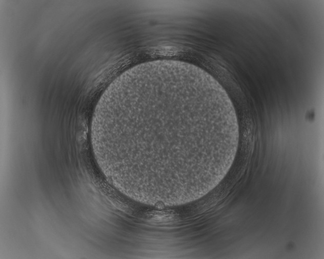 X0000114520555200911301119