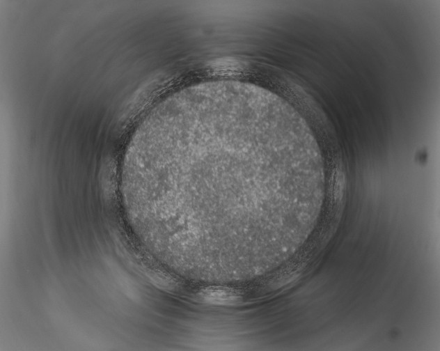 X0000114520557200911301119