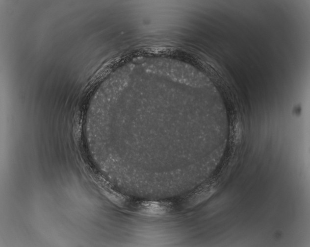 X0000114520558200911301119