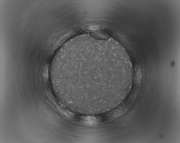 X0000114520562200911301119