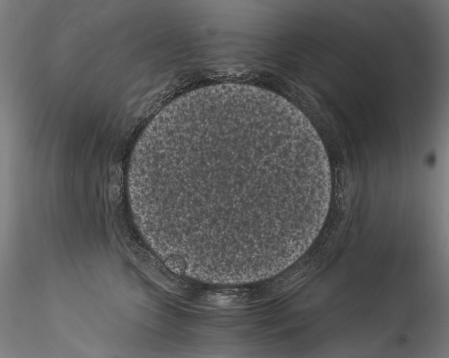 X0000114520563200911301119