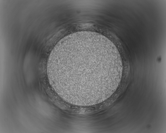 X0000114520565200911301119