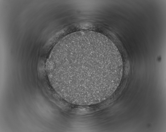 X0000114520569200911301119