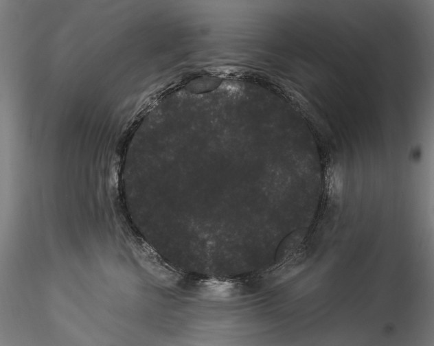 X0000114520570200911301119