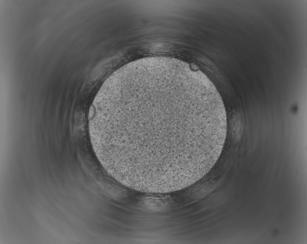 X0000114520571200911301119