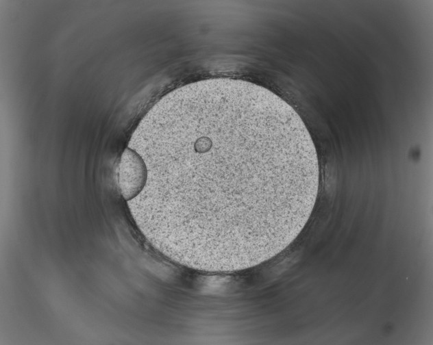 X0000114520575200911301119