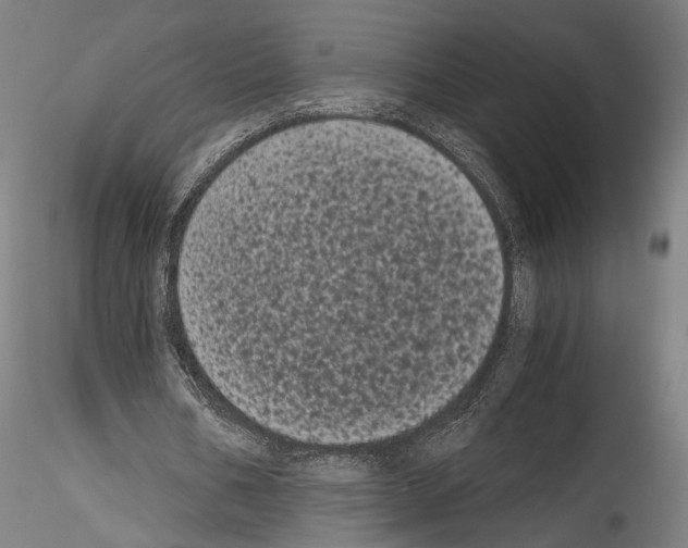 X0000114520578200911301118