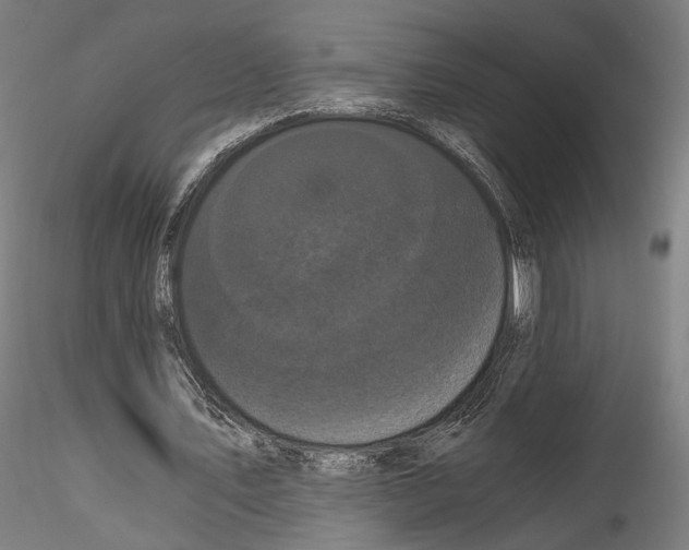 X0000114520579200911301118