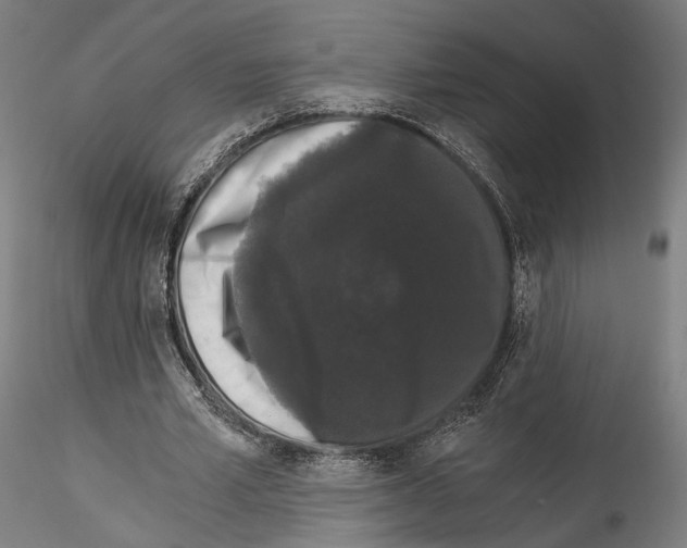 X0000114520581200911301118