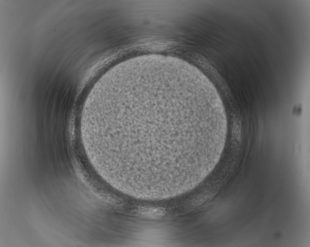 X0000114520582200911301118