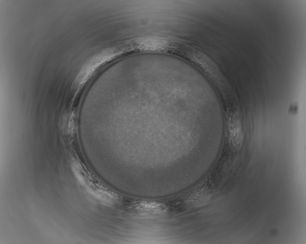 X0000114520583200911301118