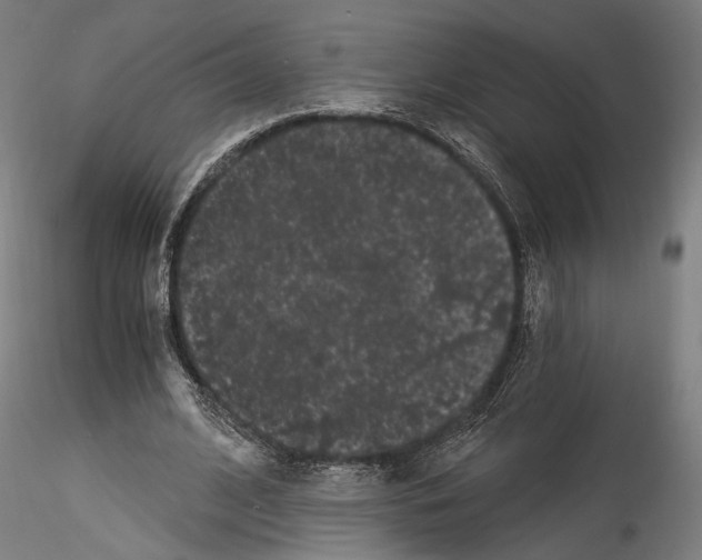 X0000114520584200911301118