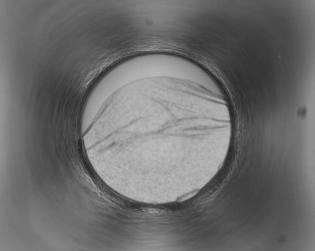 X0000114520585200911301118