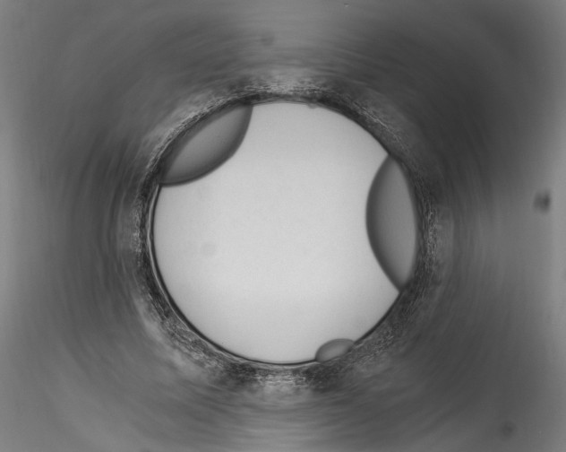 X0000114520587200911301118