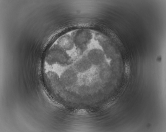 X0000114520588200911301118