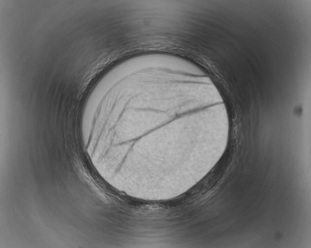 X0000114520589200911301118