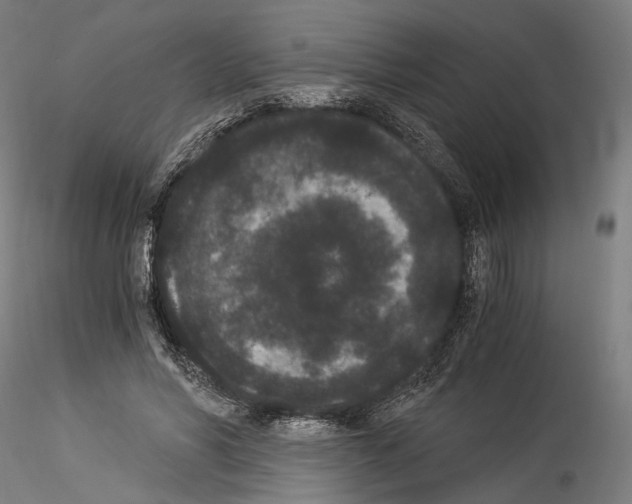 X0000114520590200911301118