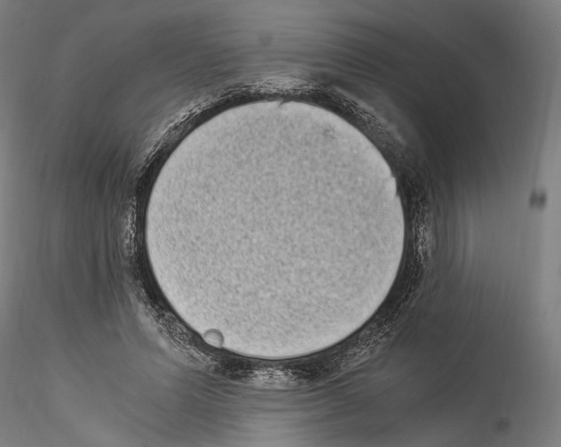 X0000114520591200911301118