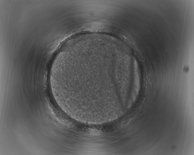 X0000114520592200911301118