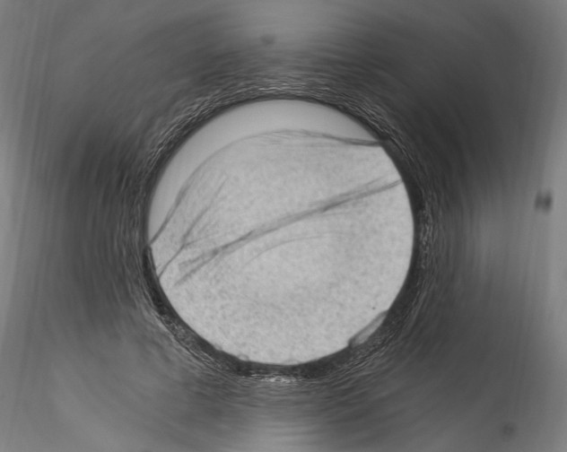 X0000114520593200911301118