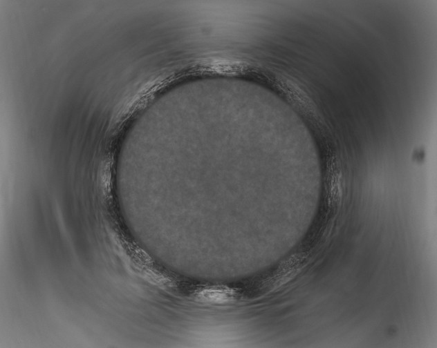 X0000114520595200911301118