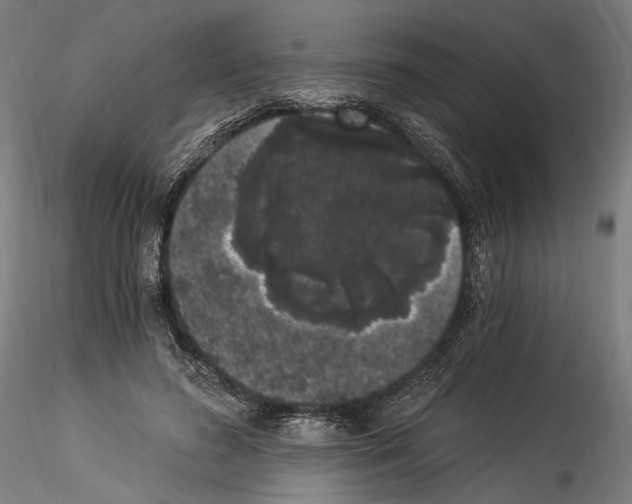 X0000114520596200911301118