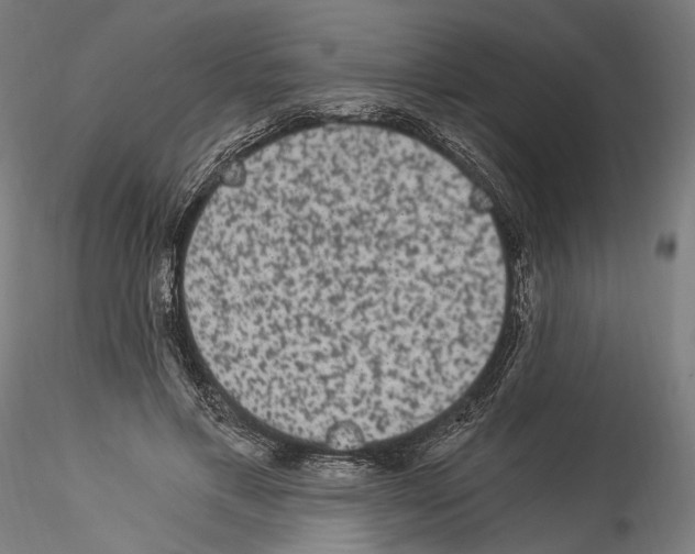 X0000114520597200911301118