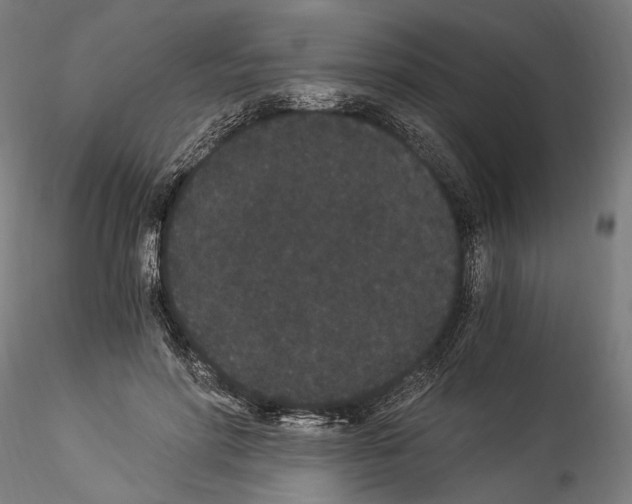 X0000114520598200911301118