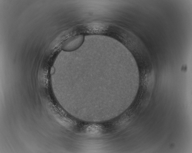 X0000114520599200911301118