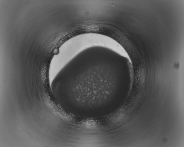 X0000114520600200911301118