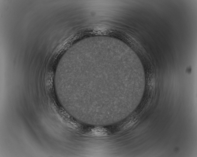 X0000114520603200911301118