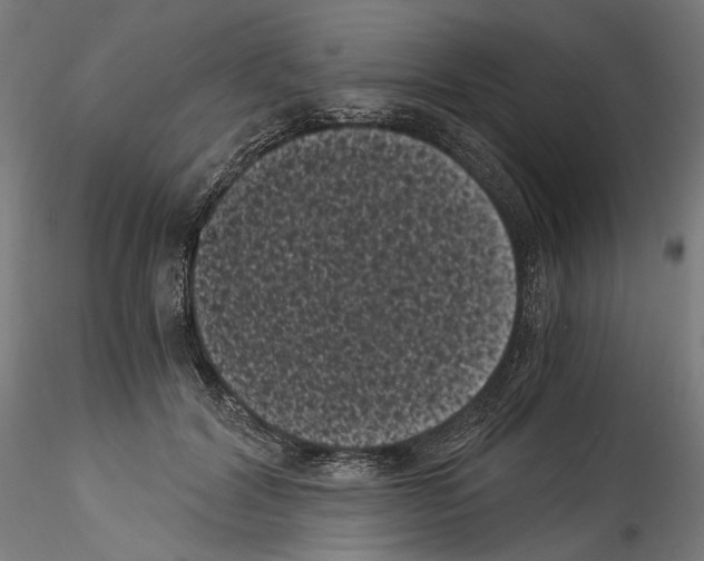 X0000114520604200911301118