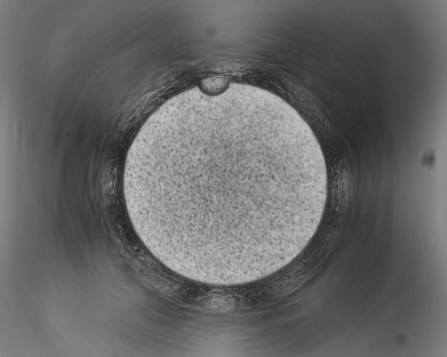 X0000114520608200911301118