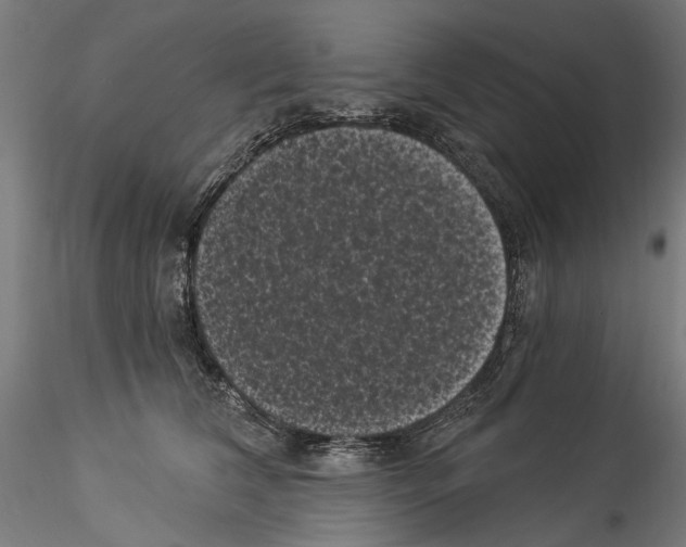 X0000114520612200911301118