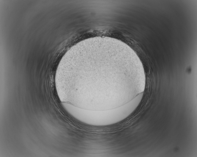 X0000114520613200911301118