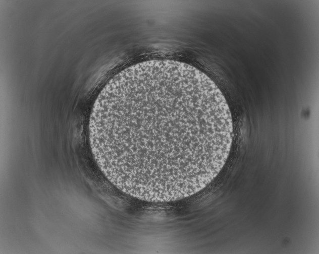 X0000114520615200911301118