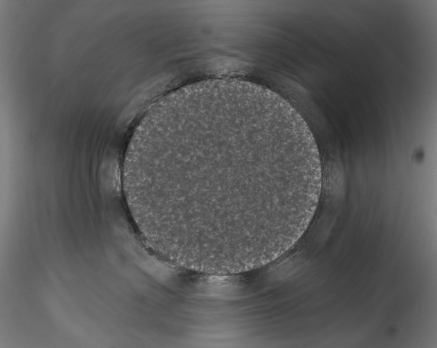 X0000114520622200911301118