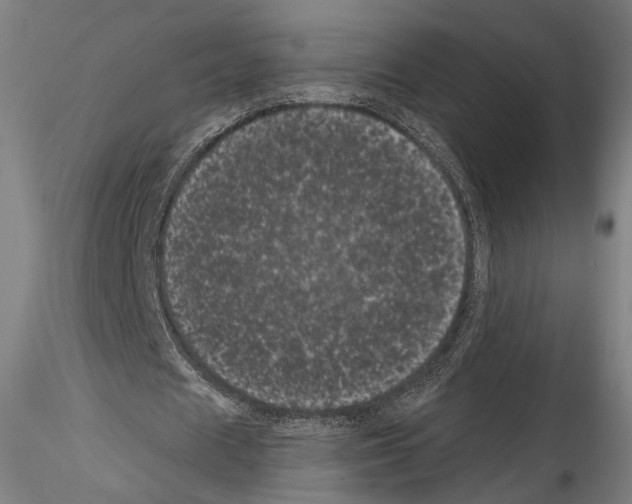 X0000114520625200911301117