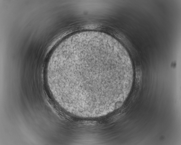 X0000114520626200911301117